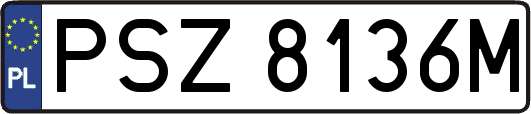PSZ8136M
