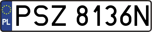 PSZ8136N