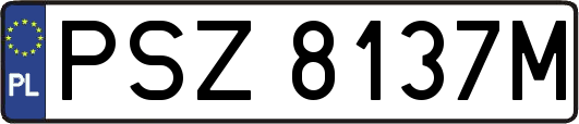 PSZ8137M