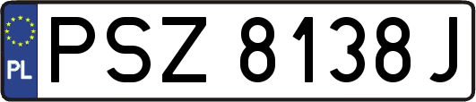 PSZ8138J