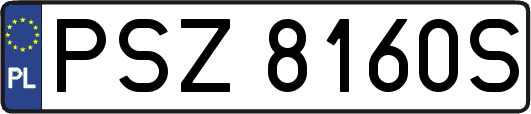 PSZ8160S
