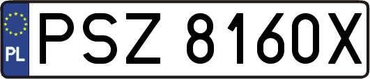 PSZ8160X