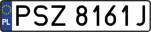 PSZ8161J