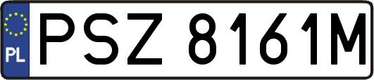 PSZ8161M