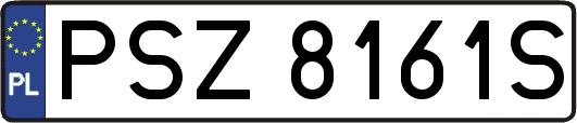 PSZ8161S
