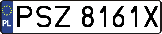 PSZ8161X