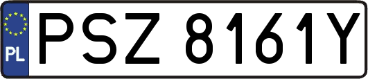 PSZ8161Y
