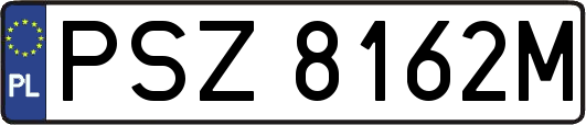PSZ8162M