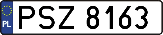 PSZ8163