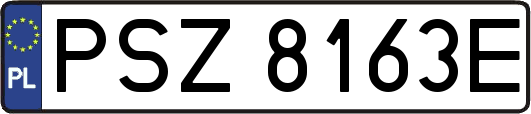 PSZ8163E