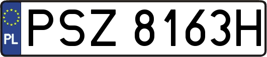 PSZ8163H