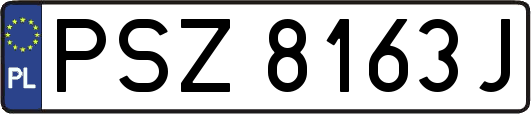 PSZ8163J