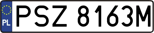 PSZ8163M