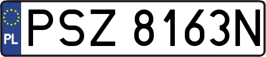 PSZ8163N