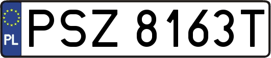 PSZ8163T