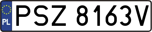 PSZ8163V