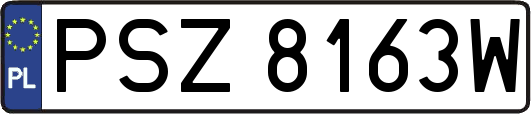 PSZ8163W