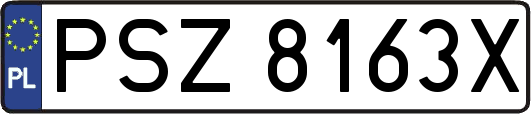 PSZ8163X