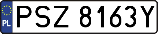 PSZ8163Y