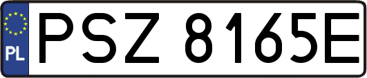 PSZ8165E