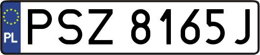 PSZ8165J