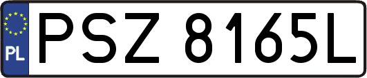 PSZ8165L