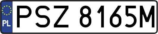 PSZ8165M