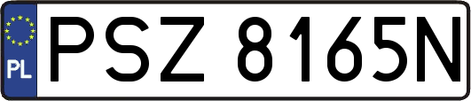 PSZ8165N