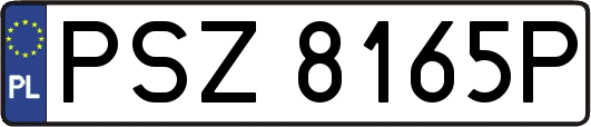 PSZ8165P