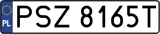 PSZ8165T