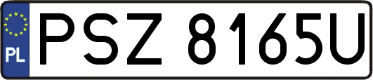 PSZ8165U