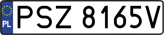 PSZ8165V