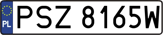 PSZ8165W