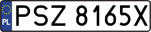 PSZ8165X