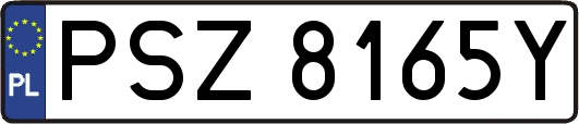 PSZ8165Y