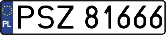 PSZ81666