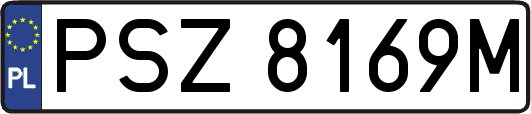 PSZ8169M