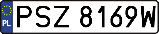 PSZ8169W