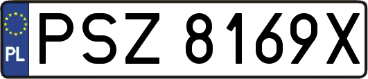 PSZ8169X