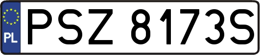 PSZ8173S