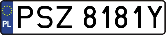PSZ8181Y