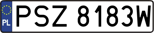 PSZ8183W