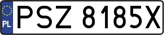 PSZ8185X