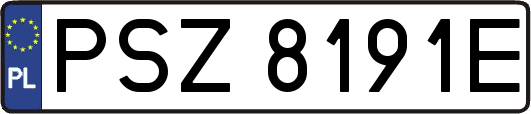 PSZ8191E