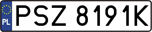 PSZ8191K
