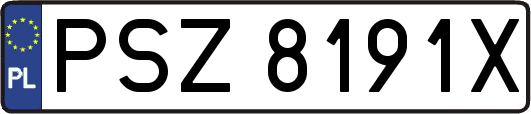 PSZ8191X