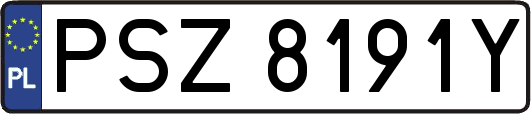 PSZ8191Y