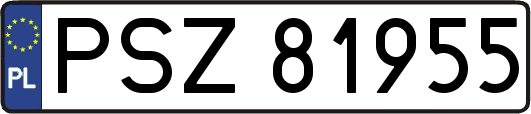 PSZ81955