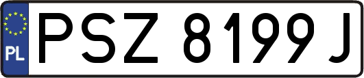 PSZ8199J