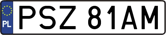 PSZ81AM